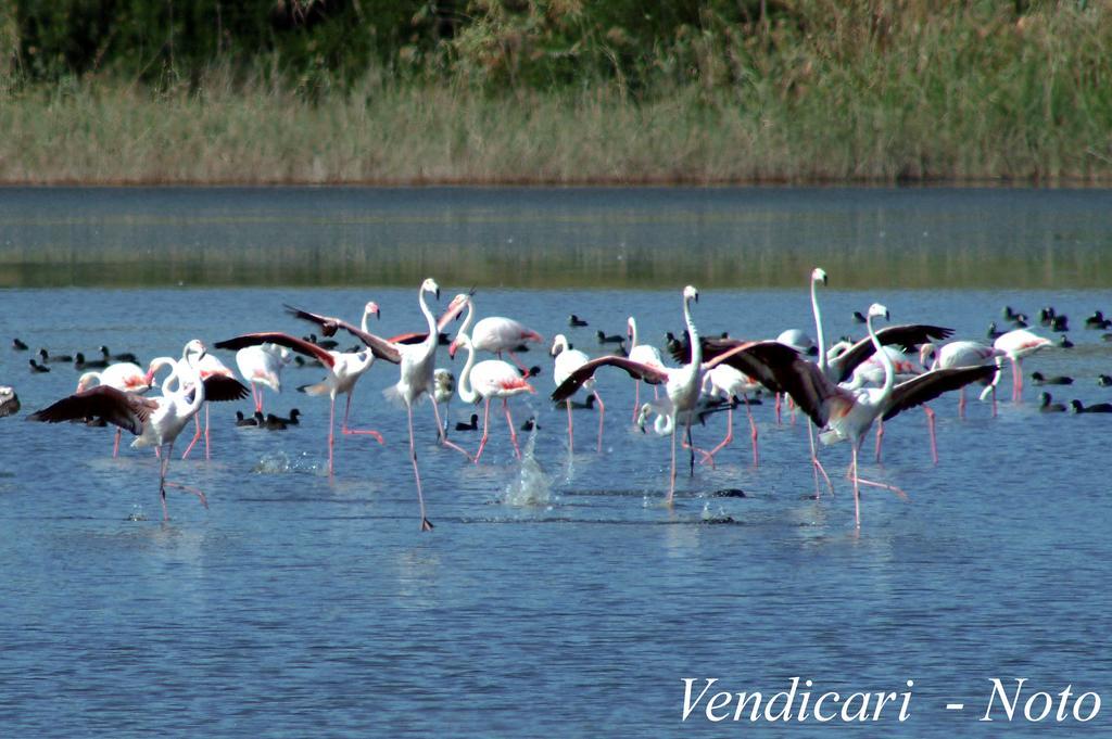 Case Vacanze Ducezio Noto Buitenkant foto